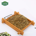 China best quality cumin seed spices supplier